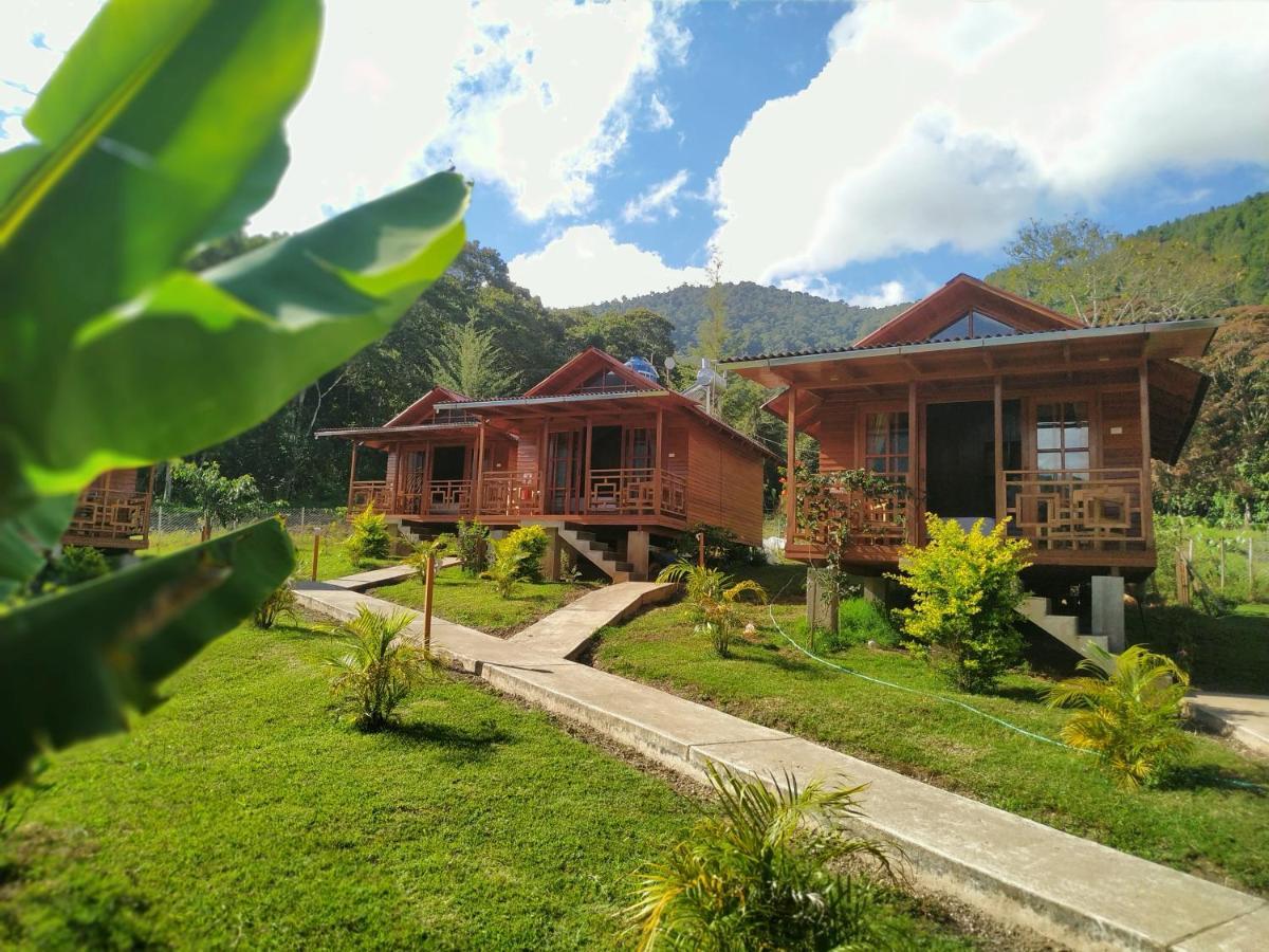 Chontaqui Eco-Lodge Oxapampa Exterior photo