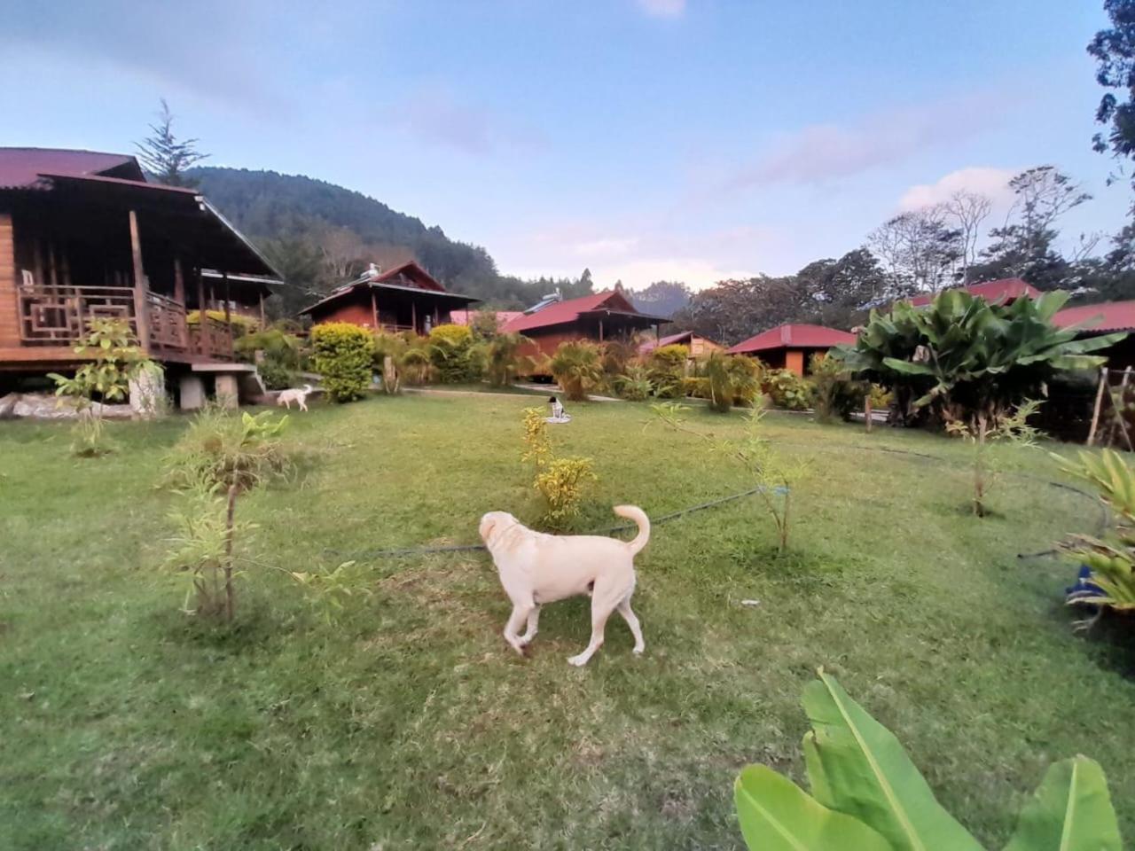 Chontaqui Eco-Lodge Oxapampa Exterior photo