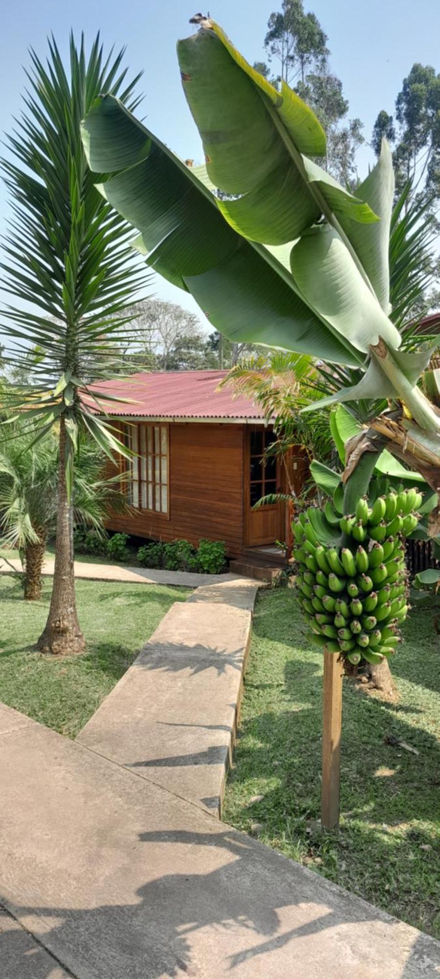 Chontaqui Eco-Lodge Oxapampa Exterior photo